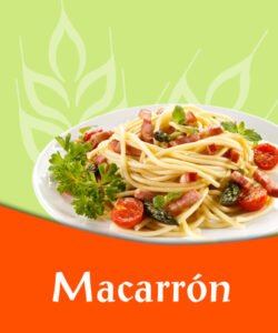 Macarrón - GAPSA