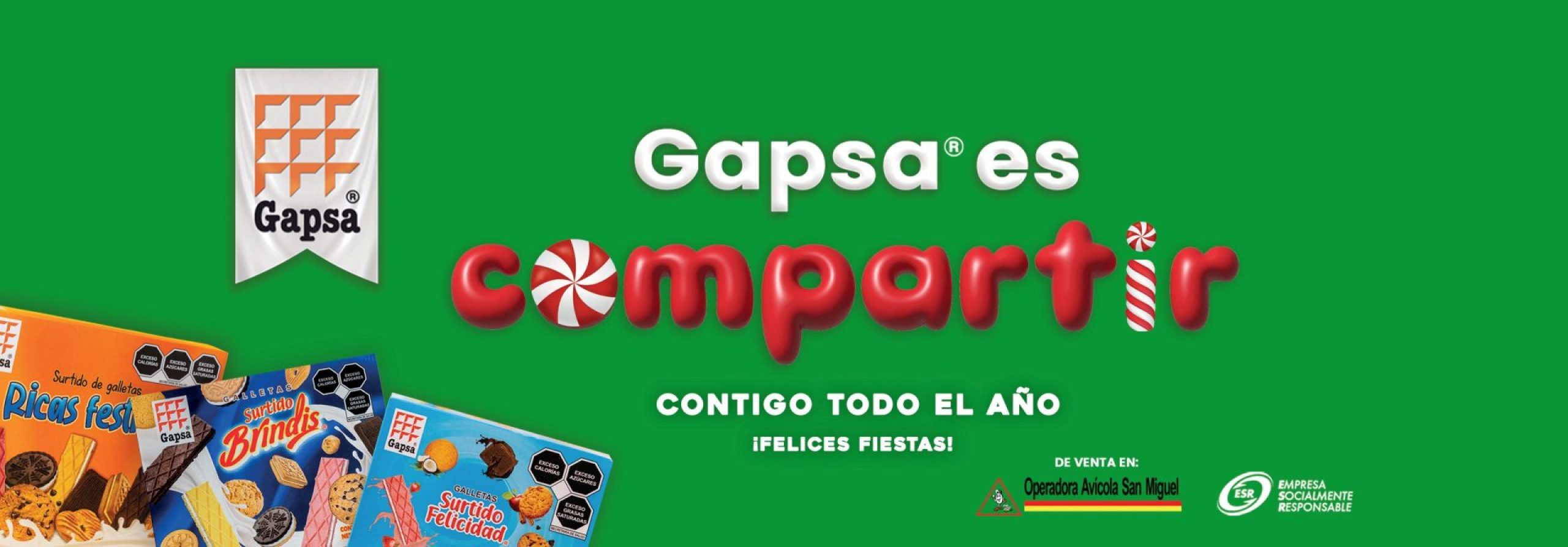 GAPSA - Banner Diciembre Horizontal